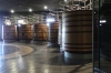 Salentein Winery, near Mendoza AR