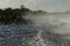 Everglades National Park, near Miami FL