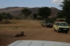 Viewing the lions.  Samburu National Park, Kenya