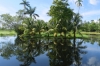 Negril Royal Palm Reserve JM