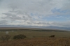 Lookout, Ngorongoro Crater, Tanzania
