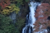 Kirifuri Falls, Nikko, Japan Kirifuri Falls, Nikko, Japan