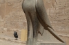 Temple of Horus, Edfu EG