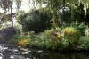 Monet's Lily Pond, Giverney FR