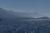 Ohrid from the lake, MK