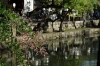 The canal in Kurashiki, Japan