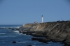 Point Arena Lighthouse and seals nearby