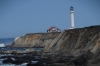 Point Arena Lighthouse and seals nearby