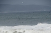 The birds and dolphins. Plettenberg Bay, South Africa