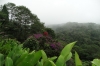 Clouds rolling in as we leave the La Paz Waterfall Gardens