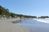 Coast around the Puñihuil Islands, Chiloé Island CL