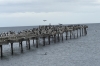 Birds on Muelle Prat, at the waterfront of Punto Arenas CL
