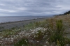 Straits of Magellan on the road Punta Arenas to Fuerte Bulnes CL
