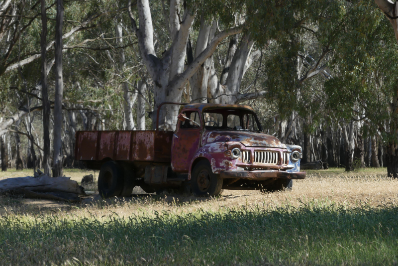 Old Bedford truck at Pfeiffer's Winery near Lake Moodemere VIC