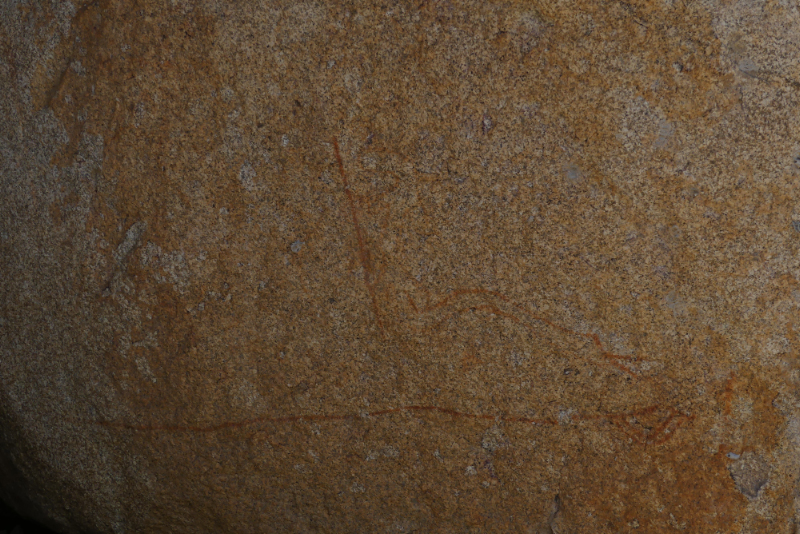 Goanna and Snake, Aboriginal Rock Art, Yeddonba Aboriginal Cultural site VIC
