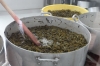 Making cactus jam at the Jam factory in Santa Rosa de Lima near Guanajuato Making cactus jam at the Jam factory in Santa Rosa de Lima near Guanajuato