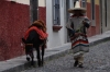 Man and donkey, Calle Diez de Sollano, San Miguel de Allende Man and donkey, Calle Diez de Sollano, San Miguel de Allende