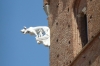 Romulus & Remus on the Palazzo Comunale, Sienna, Tuscany IT