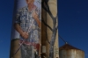 Silo Art by Fintan Magee at Patchewollock VIC AU