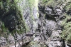 Vintgar Gorge on the Radovna River, near Bled SI