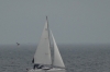 Sailing Sailing