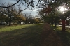 Oak Grove (AJ Steele Reserve) Oak Grove (AJ Steele Reserve)