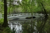 Bridges in the Magnolia Plantation and Gardens near Charleston SC USA
