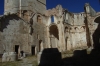 San Pedro de Arlanza - monastery in ruins. ES