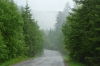 Rain comes and goes in the mountains between Sucevita & Vatra Moldovitei RO