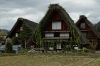 Shirakawago Ogi-machi grasshô style Village, Japan