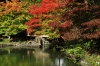 Autumn colours, Goami Pond, Hida Folk Village, Takayama, Japan