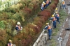 A gang of gardeners on the railway line near Takayama station, Japan