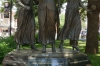 Woman Suffrage Memorial, Market Square, Knoxville TN