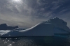 iceberg Graveyard in Pléneau Bay, Antarctica