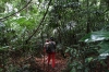 Walking through the rain forest at Tikal