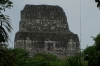 Temple IV, the highest, climbed by wooden steps