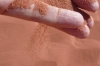 Wadi Rum - sand dune, fine red sand JO