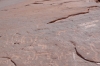 Wadi Rum - Nabataean rock art JO