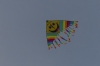 Kite flying at Miraflores, Lima PE