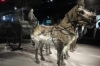 Half size replicas of the bronze horse and carriages, Terracotta warriors of Emperor Qin, Xi'an CN