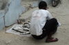 Selling fish. Zanzibar, Tanzania