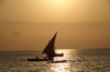 Dhow sailing to fish, Zanzibar, Tanzania Dhow sailing to fish, Zanzibar, Tanzania